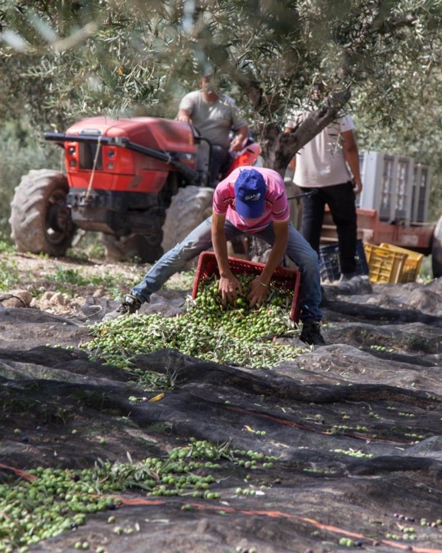 Azienda Agricola Mandranova Pensionat Palma di Montechiaro Exteriör bild