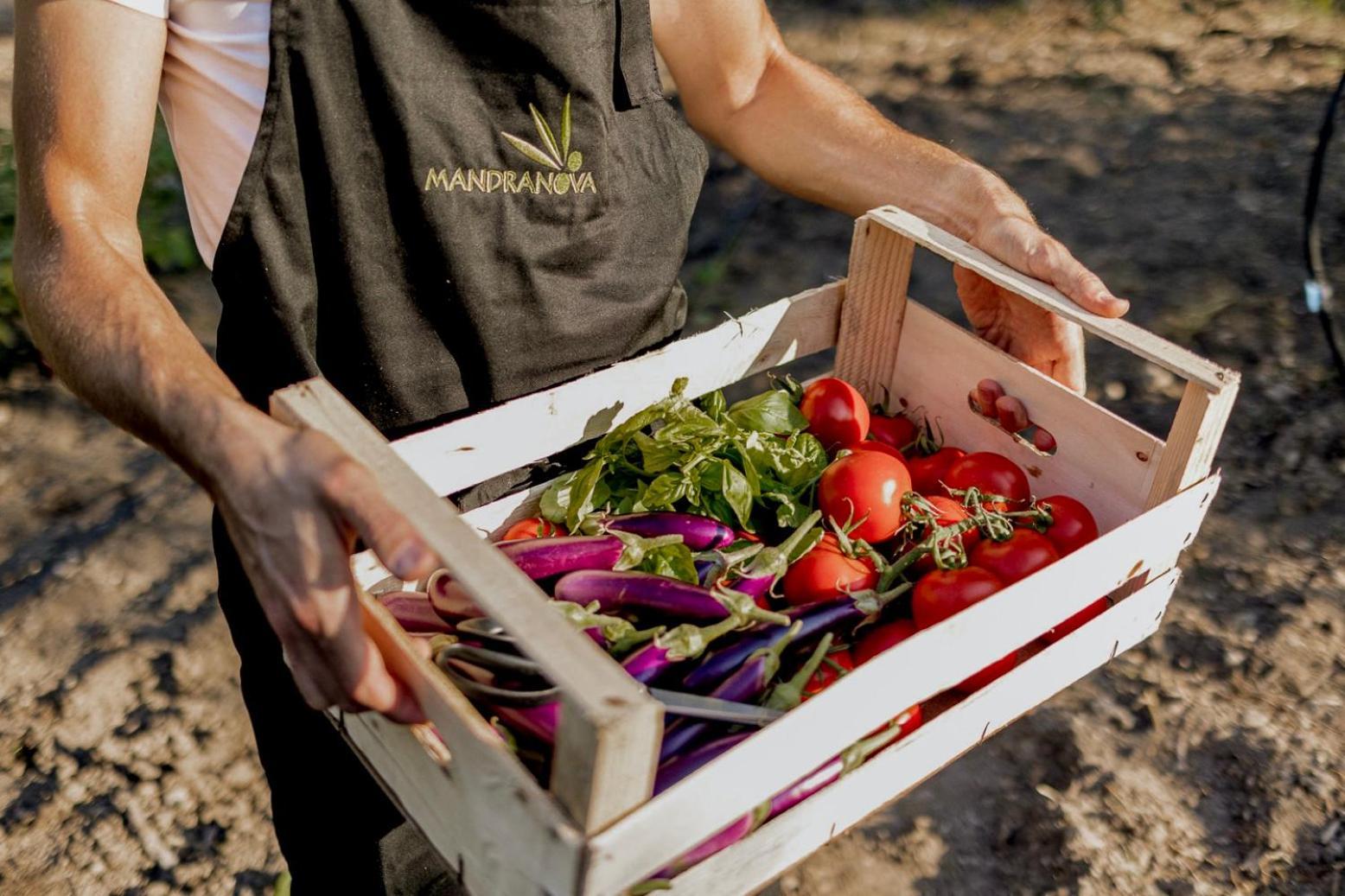 Azienda Agricola Mandranova Pensionat Palma di Montechiaro Exteriör bild