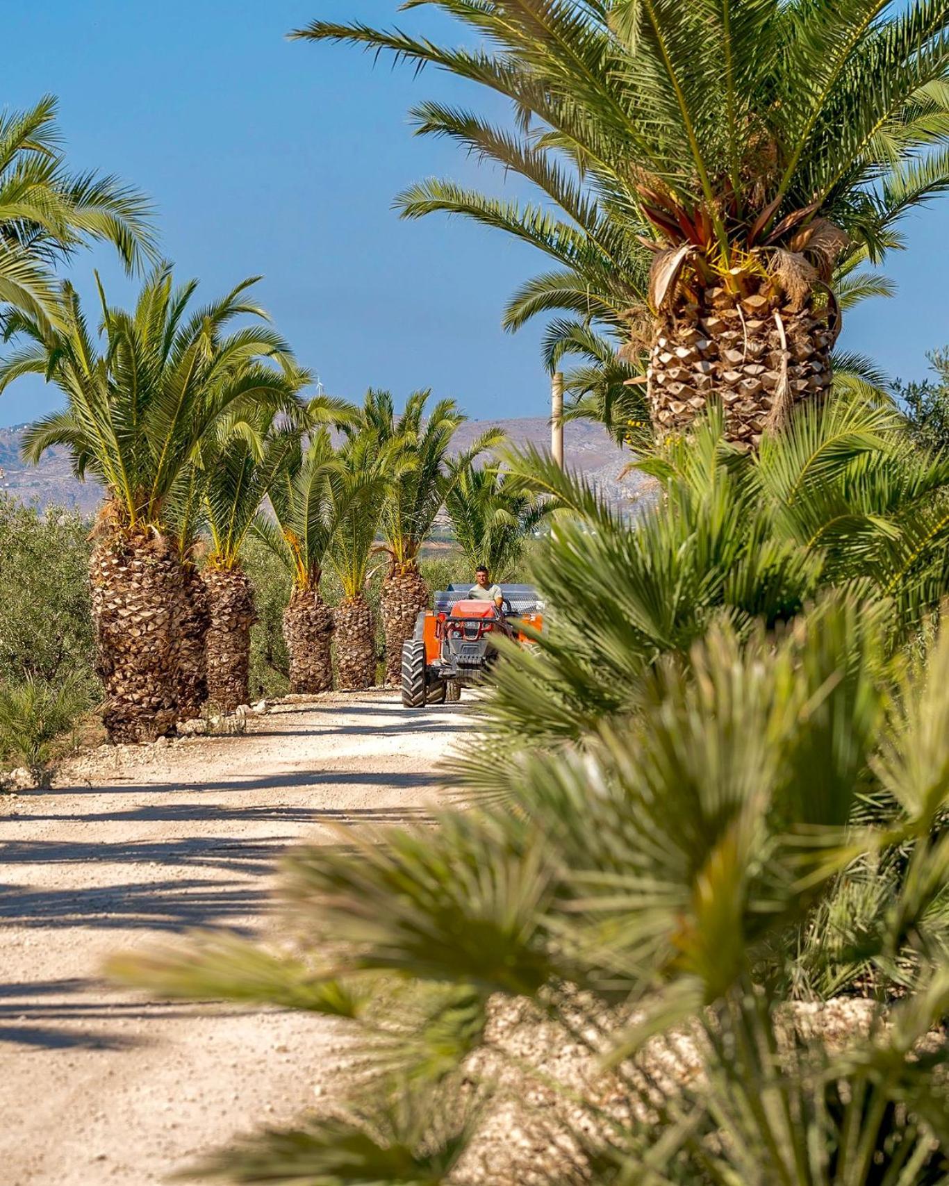 Azienda Agricola Mandranova Pensionat Palma di Montechiaro Exteriör bild